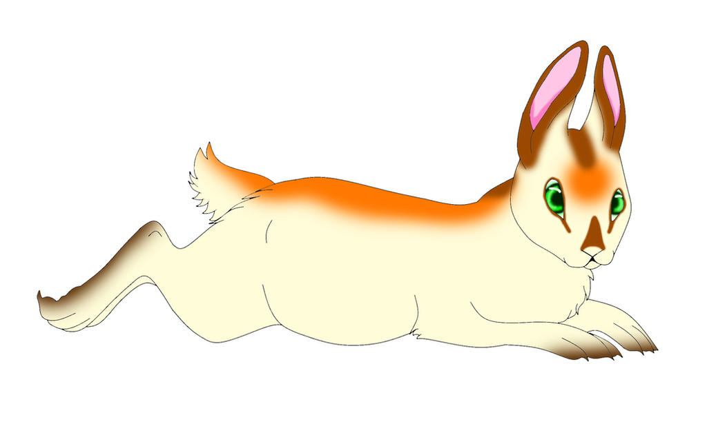 Iris (event Rabbit) by Orouch on DeviantArt