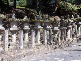 Toro at Nara Park