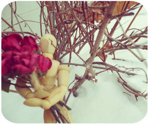 Mannequin's Roses
