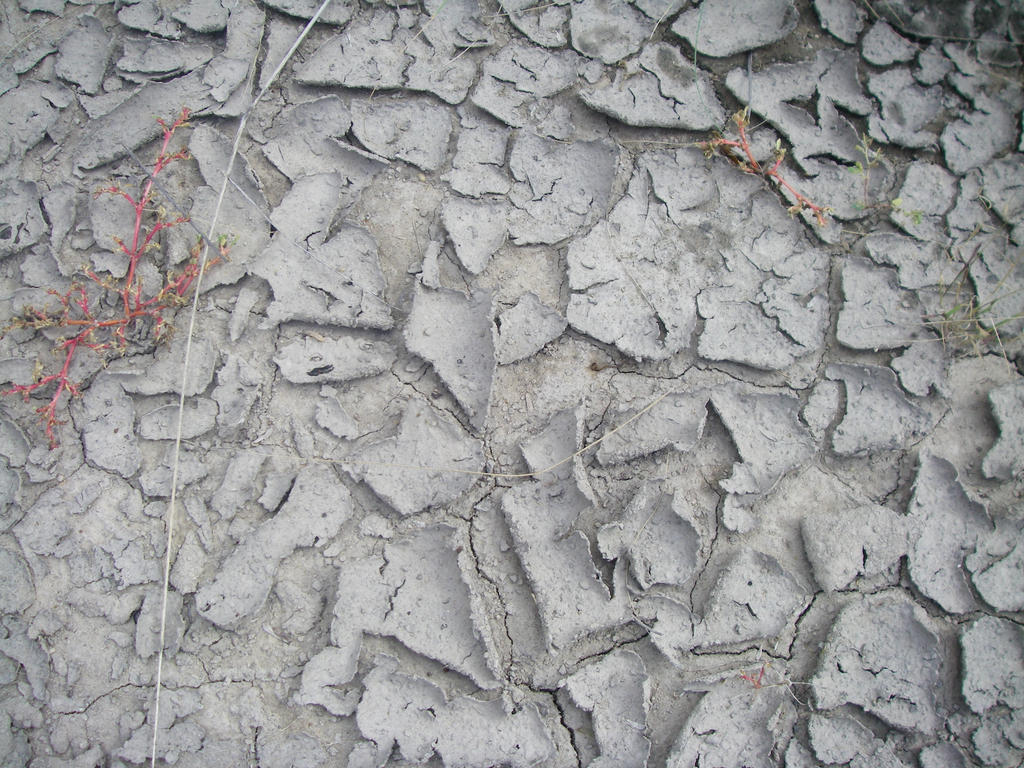 Dry Ground by archambers