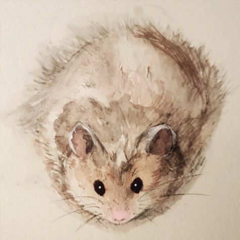 deqvtne-e864a288-ddc9-4b53-a654-a902457e