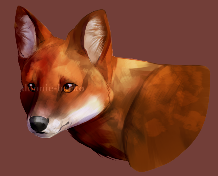 dhole