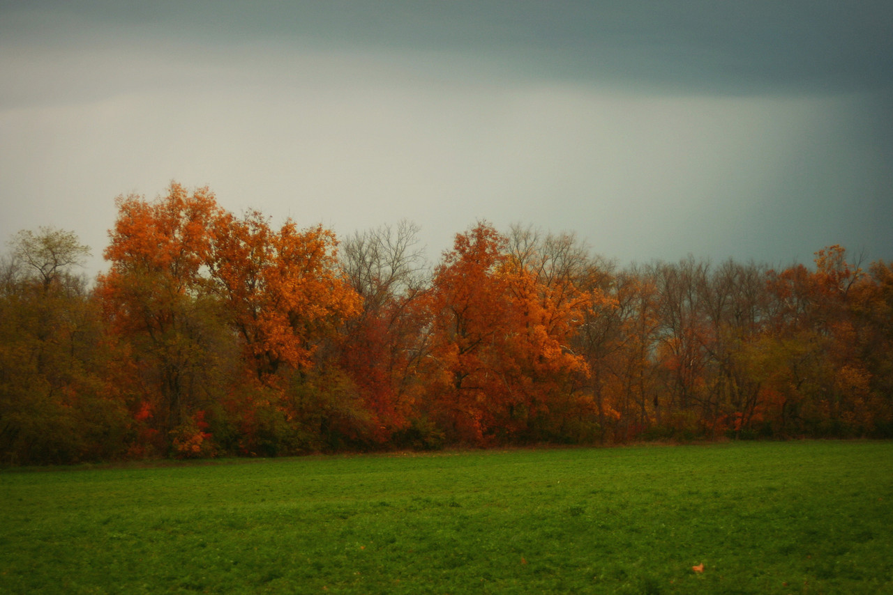 Kentucky Autumn