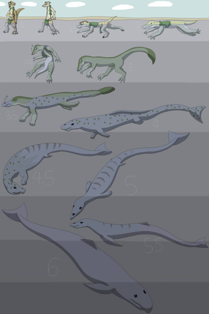 Evolution of Whales by Weazel75 on DeviantArt