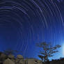 Taif Star Trails