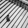 On the Stairs