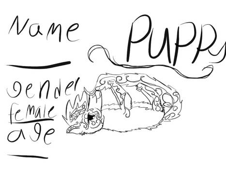 Puppy adoptable (OPEN)