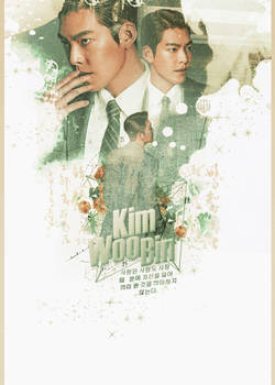 [Graphic] Kim Woo Bin