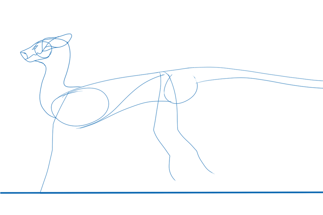 Rake Run Animation Rhakzan Run Cycle (animation) by Laeyein on DeviantArt