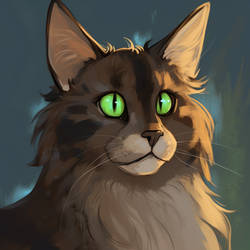 Soft Painting Warrior Cat