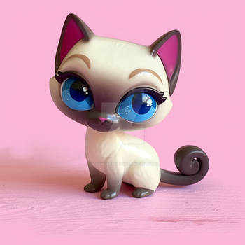 Siamese Cat - LCB