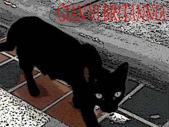 Gian Vi Britannia Black Cat