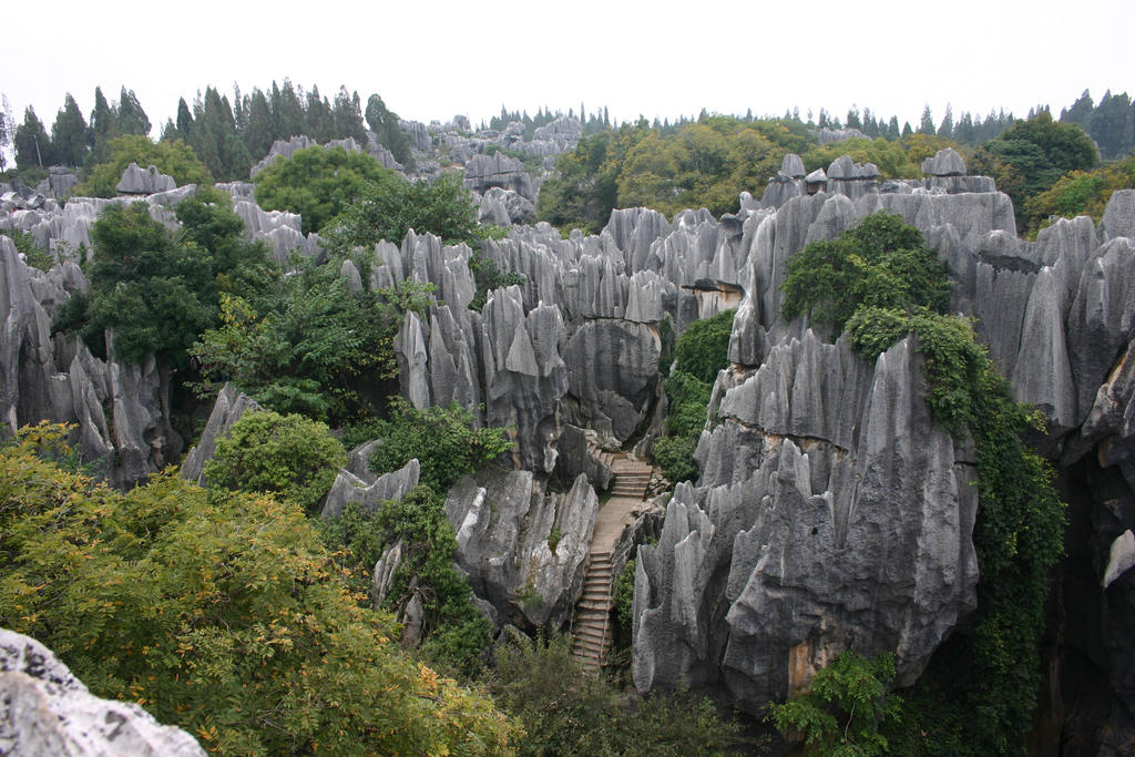 stone forest 7