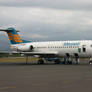 the plane the plane