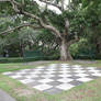 Large Chess board 3699
