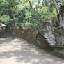 Bridge 7018