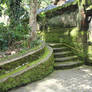 Mossy stairs 9621