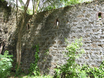 Old stone wall 167