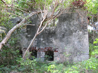 Old house ruins 196