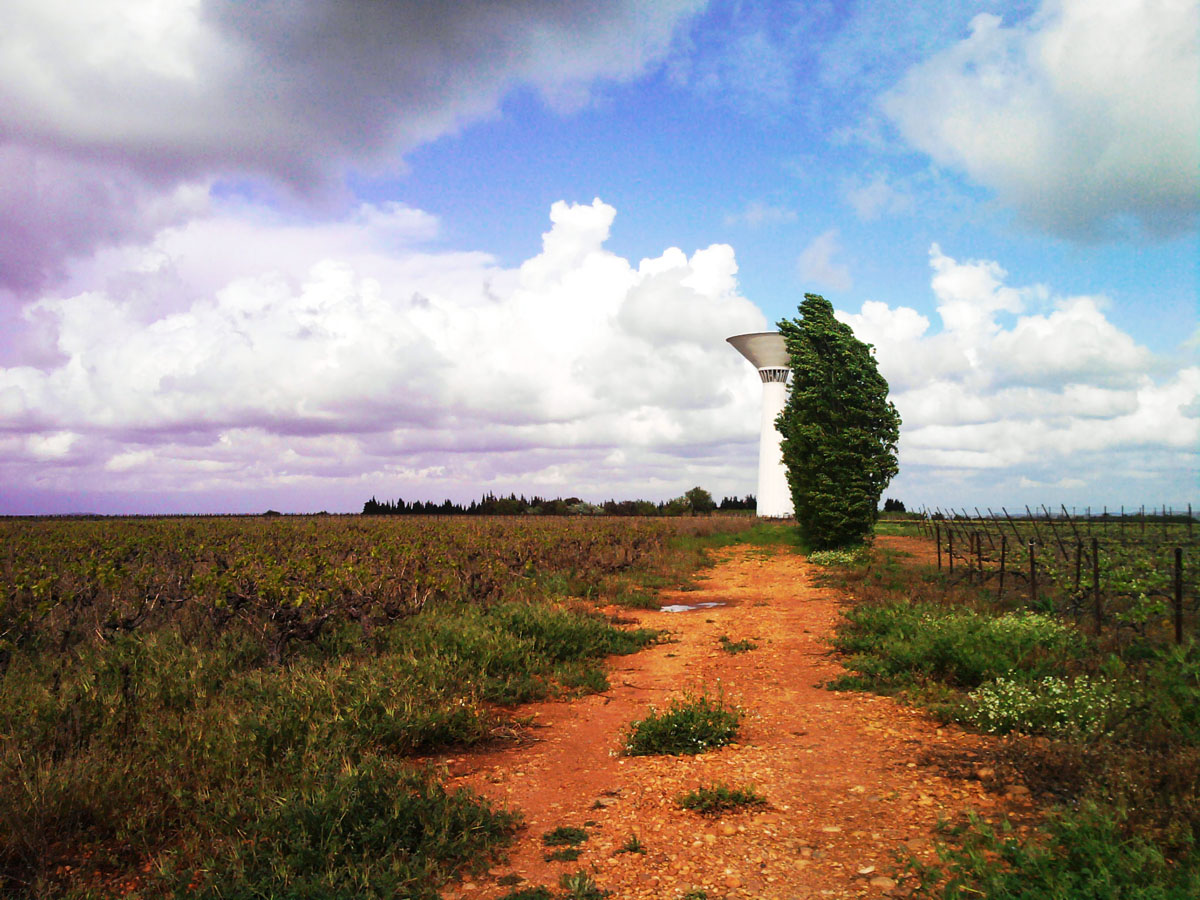 Windy red way...