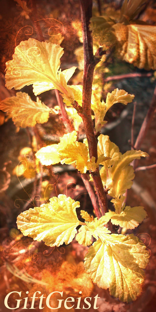 Fancy Leaves by GiftGeist on DeviantArt