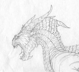 dragon sketch