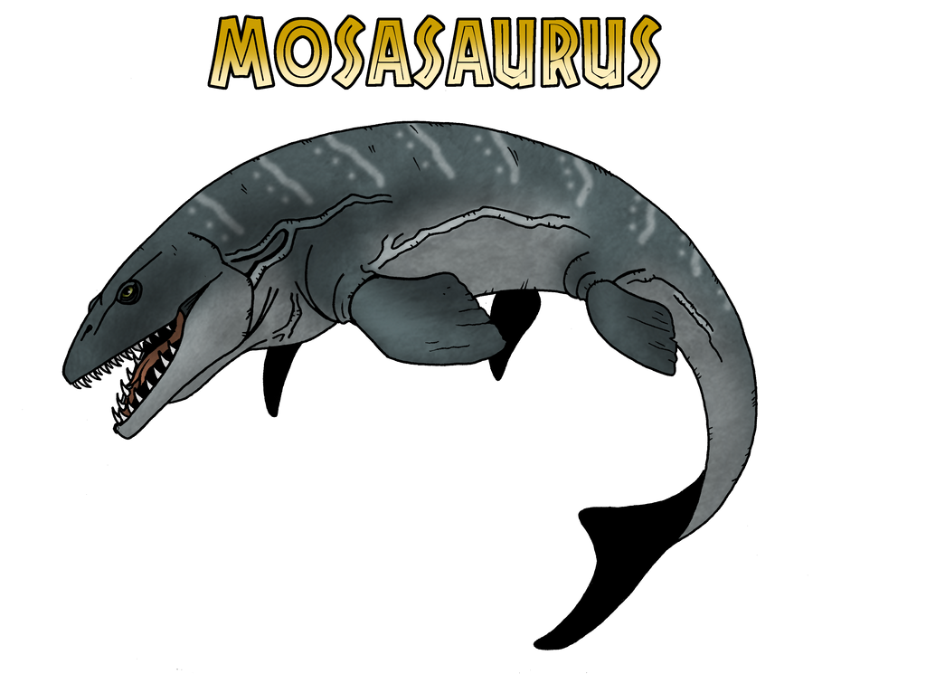 Mosasaurus by McSlackerton on DeviantArt