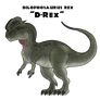 D-Rex