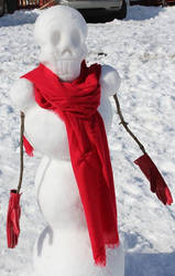 Snow Papyrus