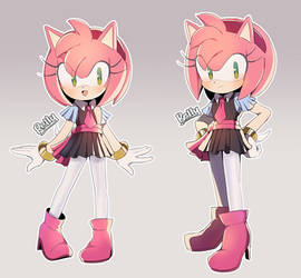 Sonic X outfit Amy