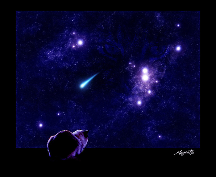 Beyond Tomorrow by megcat