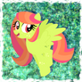 Trade: MLP OC - Tulipa