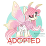 Cherry Blossom Moth Pony [CLOSED]