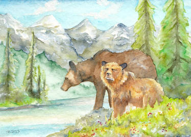 Canadian Bears