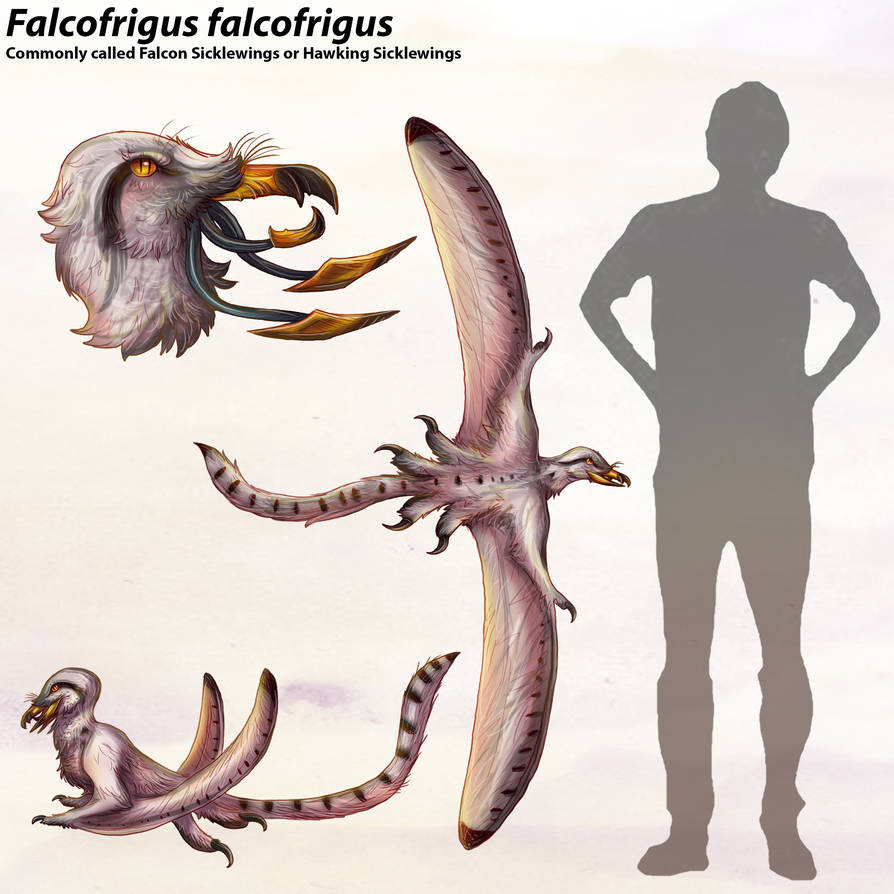 Falcous Falcofrigus by CoraxLara on DeviantArt