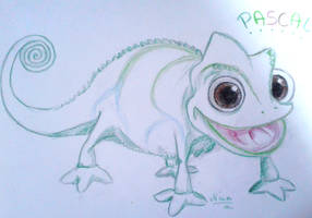 Pascal