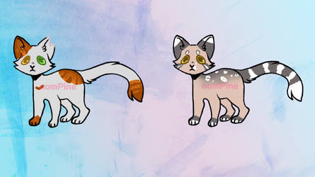 Cat Adoptables