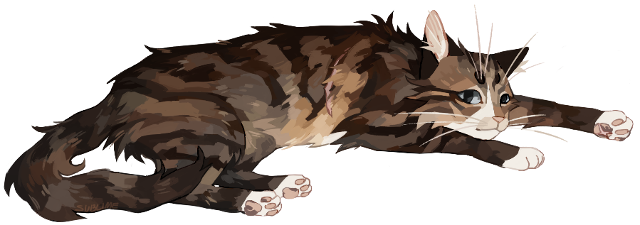 Ryfh ryfh by s-subIime on DeviantArt