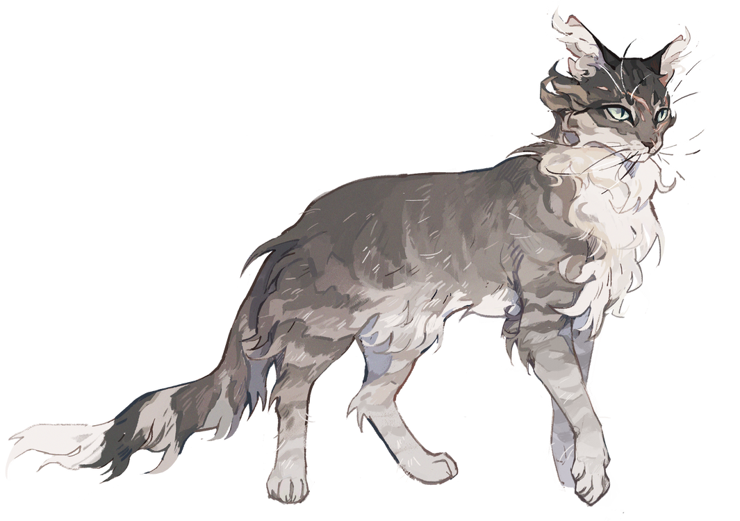 grayquill_by_s_subiime_dewthps-pre.png