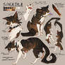 sinatra ref sheet