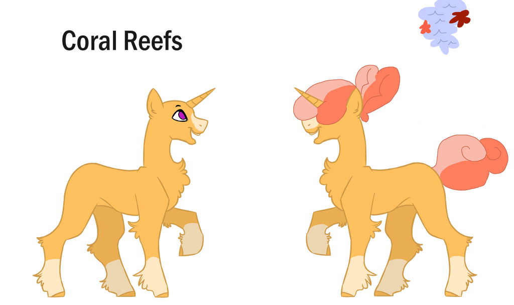 Reef Reference Coral Reefs Reference Sheet by blah23z on DeviantArt