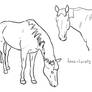 Horse linearts