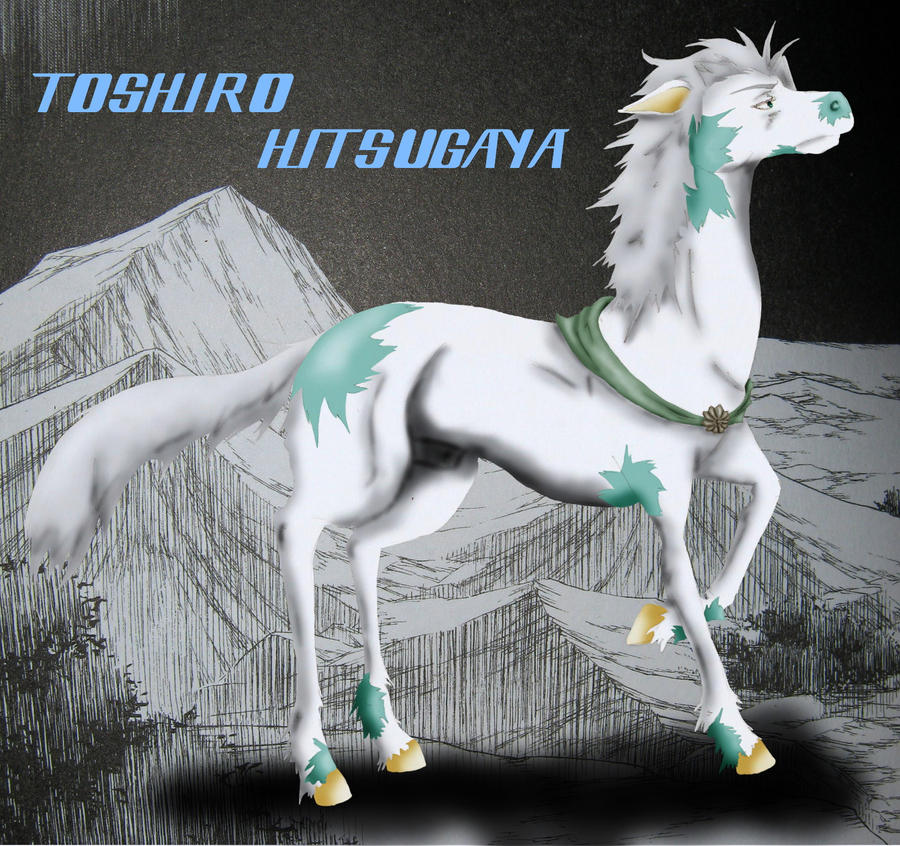 Charaktersheet_Toshiro Hitsugaya