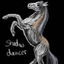 Charasheet_Shadow Dancer