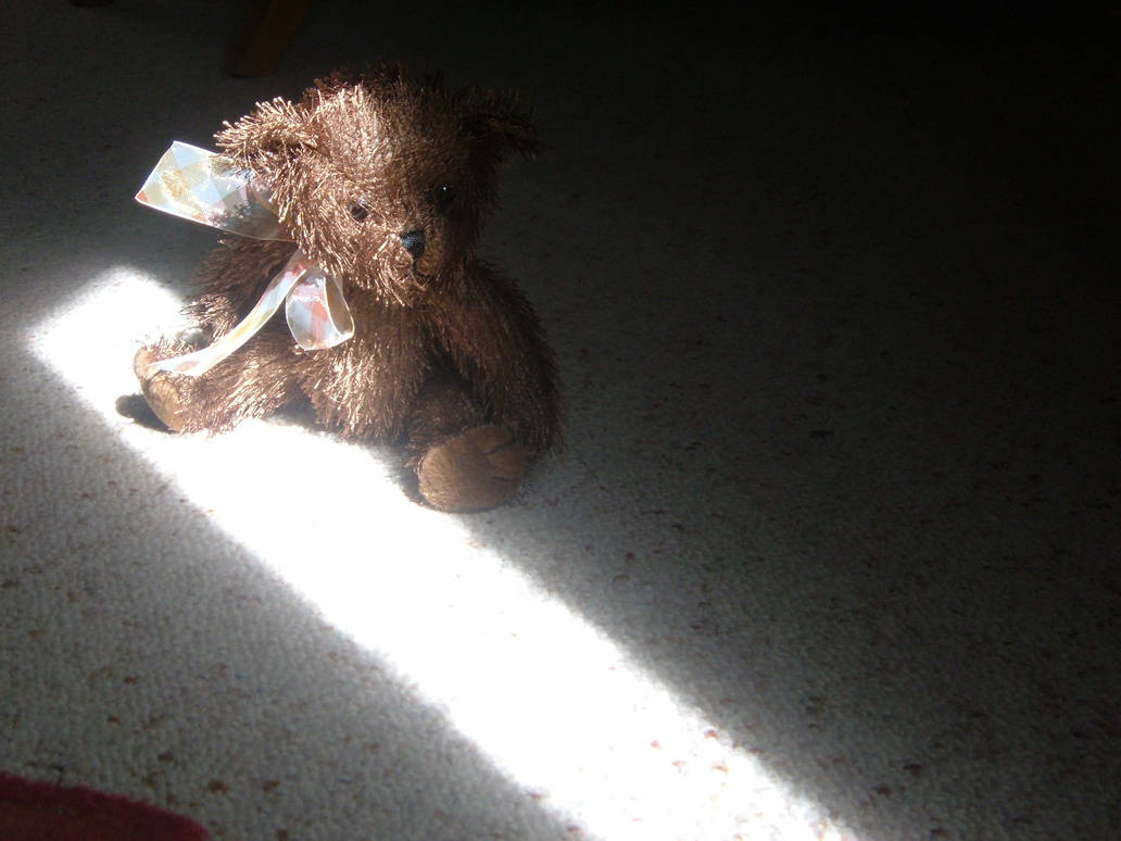 timothy teddy by Maddragon on DeviantArt