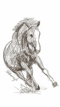 Horse Galaxy Note 2