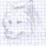 sketch rush_ m wolf