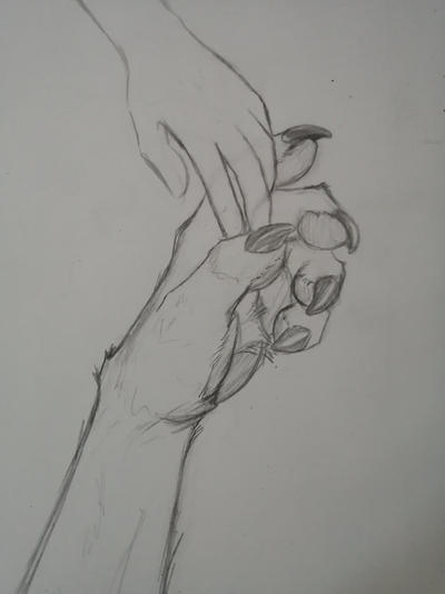 Touching hands by Zire9 on DeviantArt