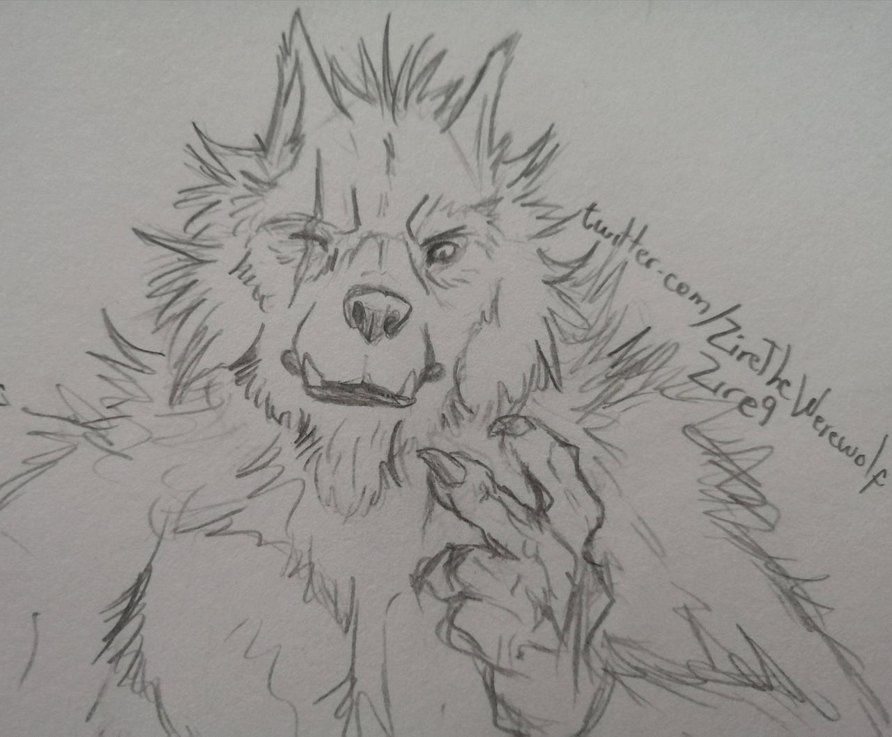 Scarred werewolf by Zire9 on DeviantArt