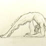 Flexible shewolf